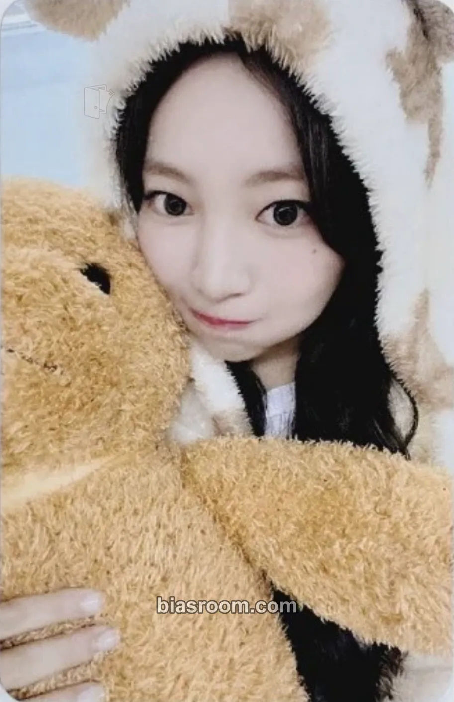 Nana CURIOUS Photocard - UNIS - UNIS K-pop photocard