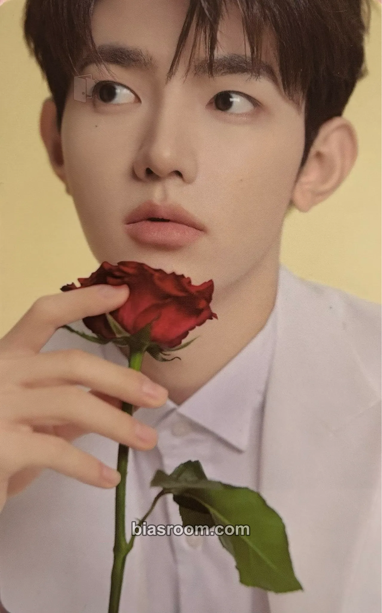 Hao Zhang Hao x Tangle Teezer Photocard - ZEROBASEONE - ZEROBASEONE K-pop photocard
