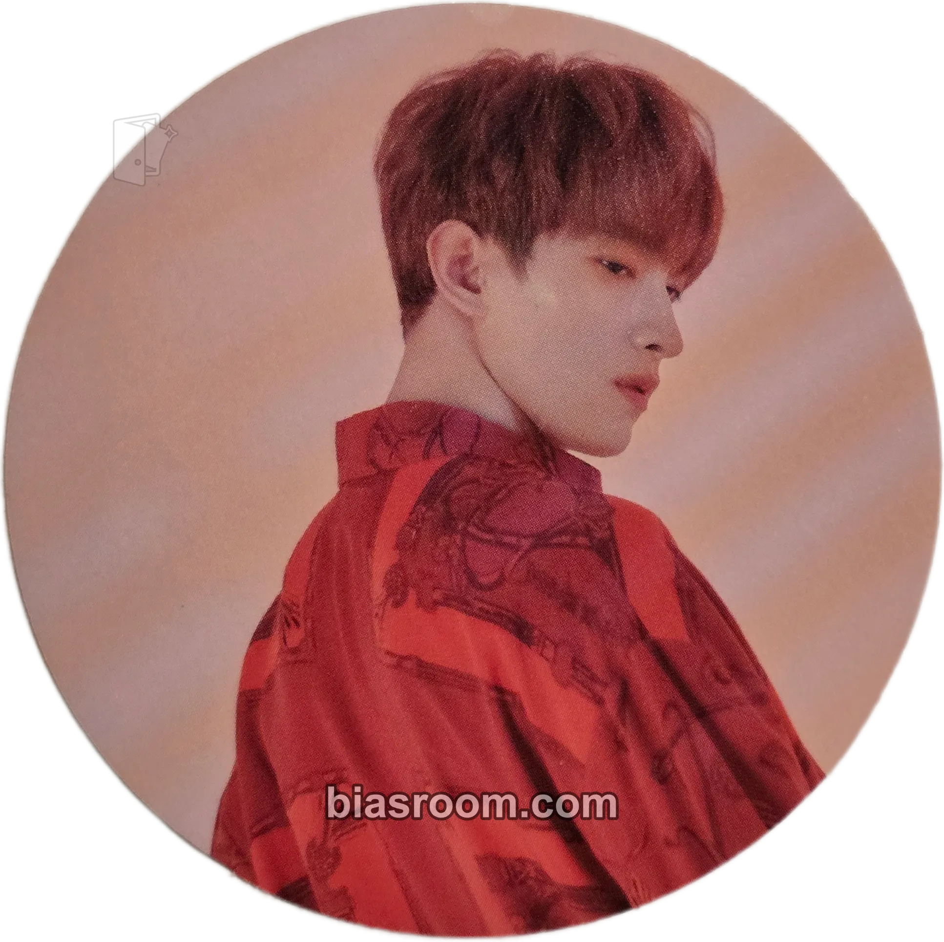 DK An Ode Photocard - SEVENTEEN - SEVENTEEN K-pop photocard