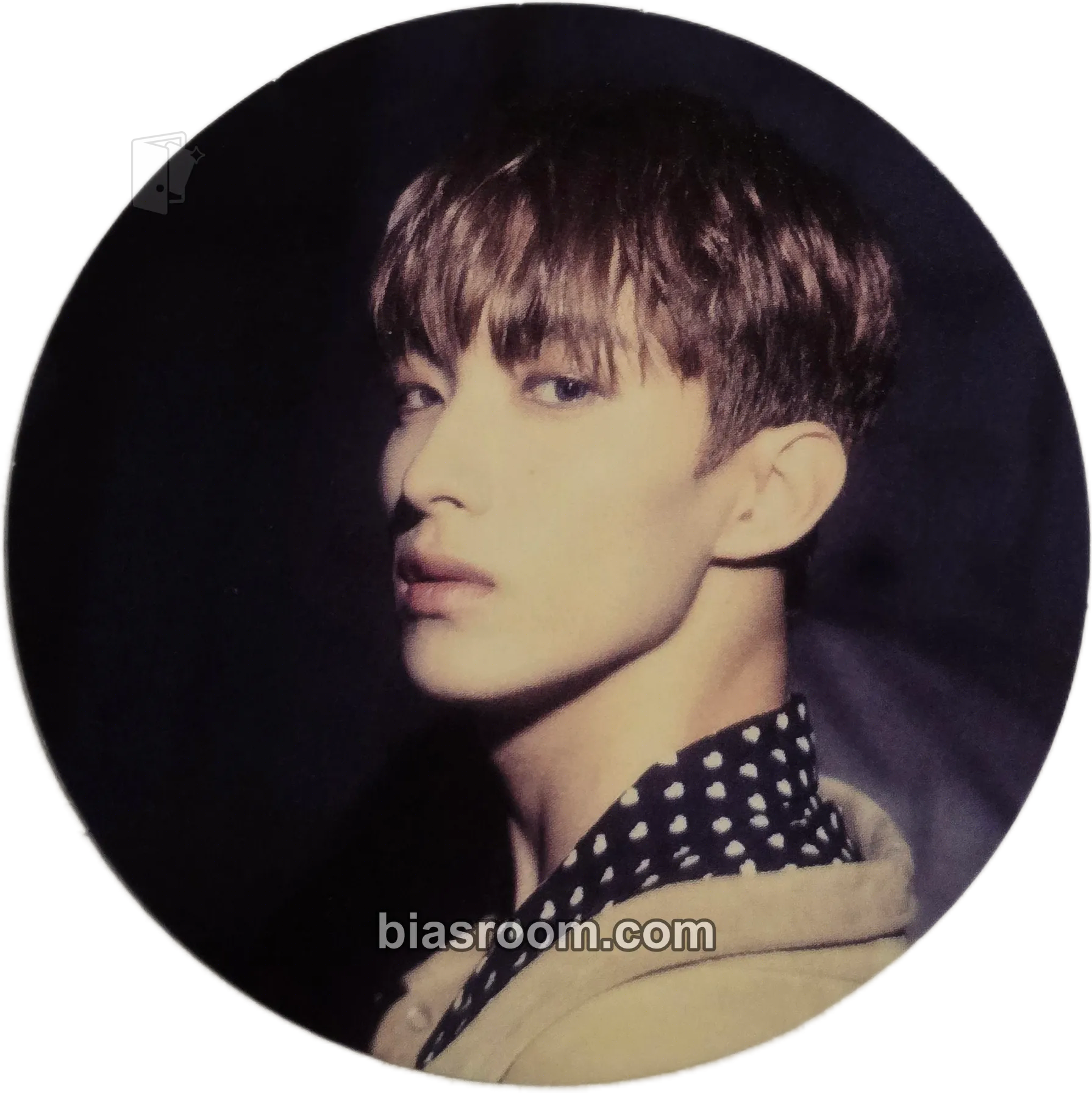 DK An Ode Photocard - SEVENTEEN - SEVENTEEN K-pop photocard