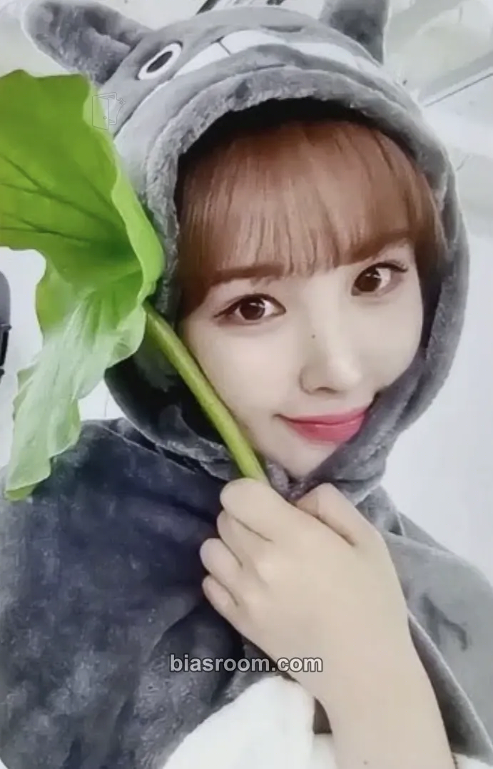 Jaehee Bliss Photocard - Weeekly - Weeekly K-pop photocard