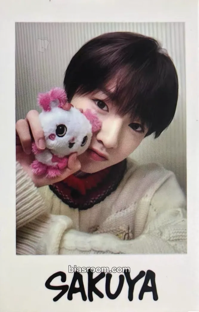 Sakuya Steady MD Photocard - NCT WISH - NCT WISH K-pop photocard