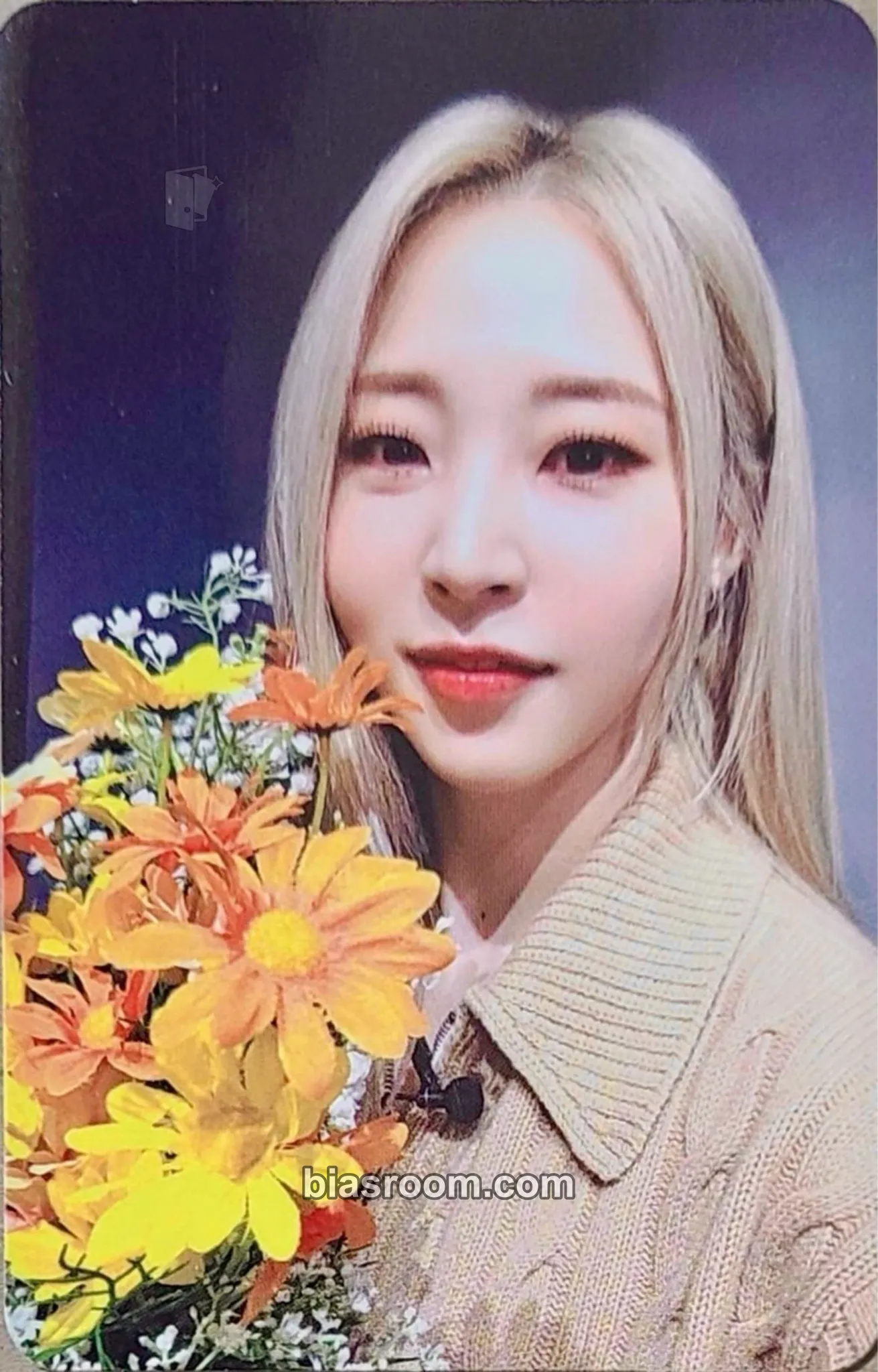 Moonbyul Starlit of Muse Photocard - MAMAMOO - MAMAMOO K-pop photocard