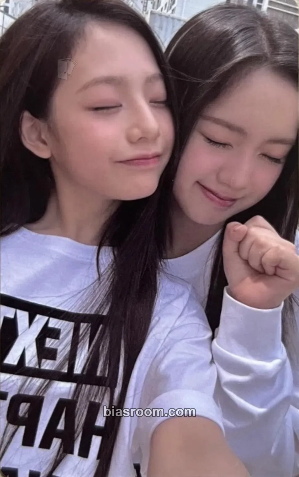 CURIOUS Photocard - UNIS - UNIS K-pop photocard
