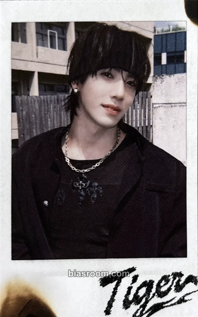n.SSign - Kazuta - Tiger Album album photocard