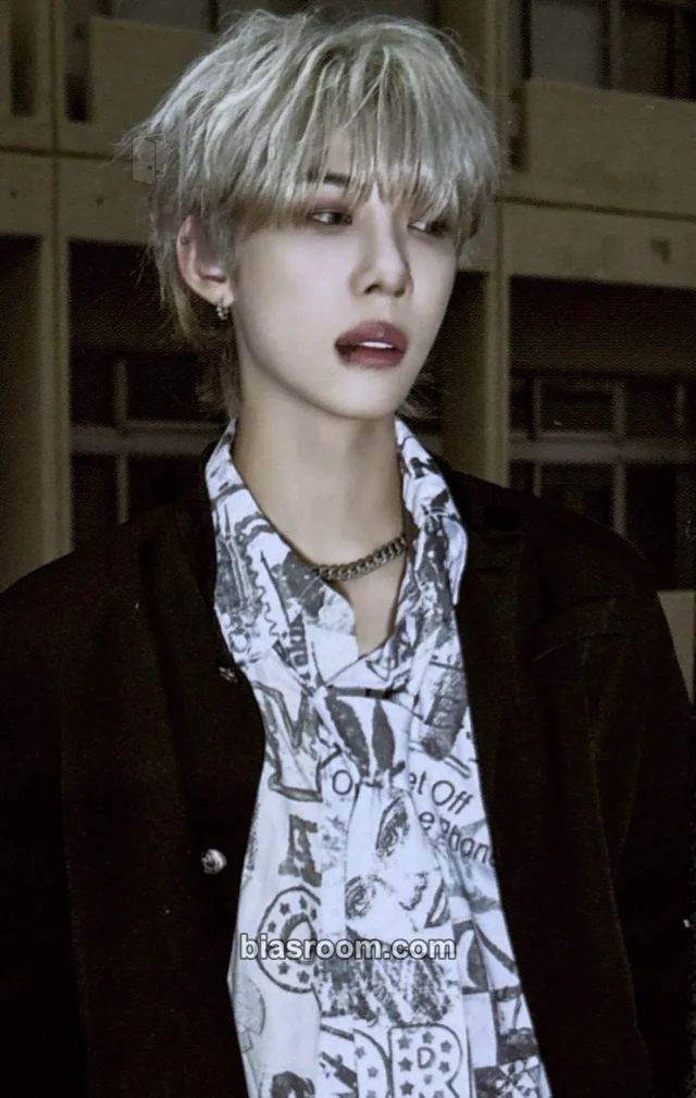 n.SSign - Robin - Tiger Album album photocard