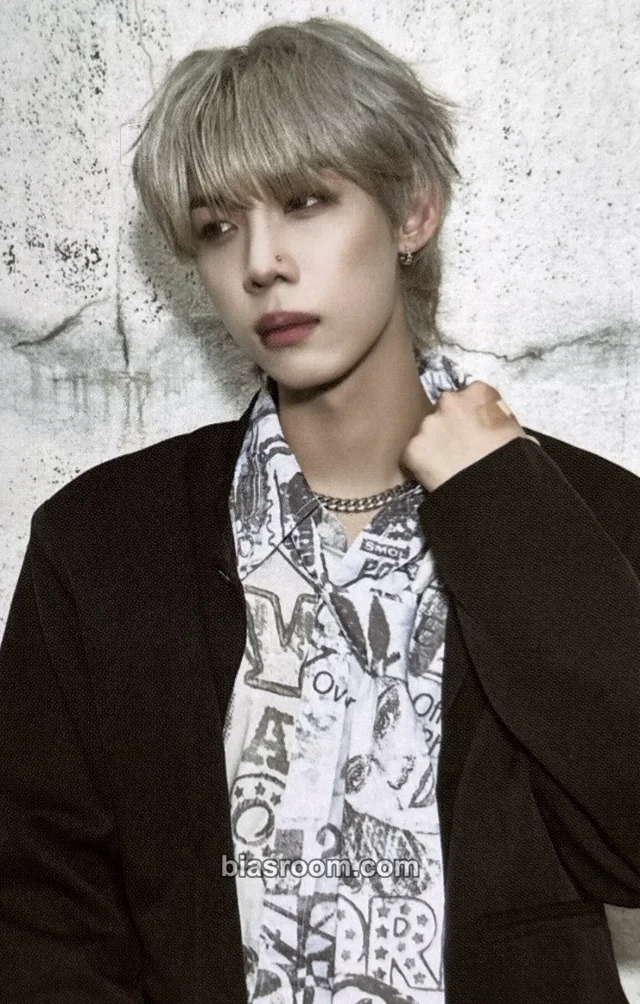 n.SSign - Robin - Tiger Album album photocard