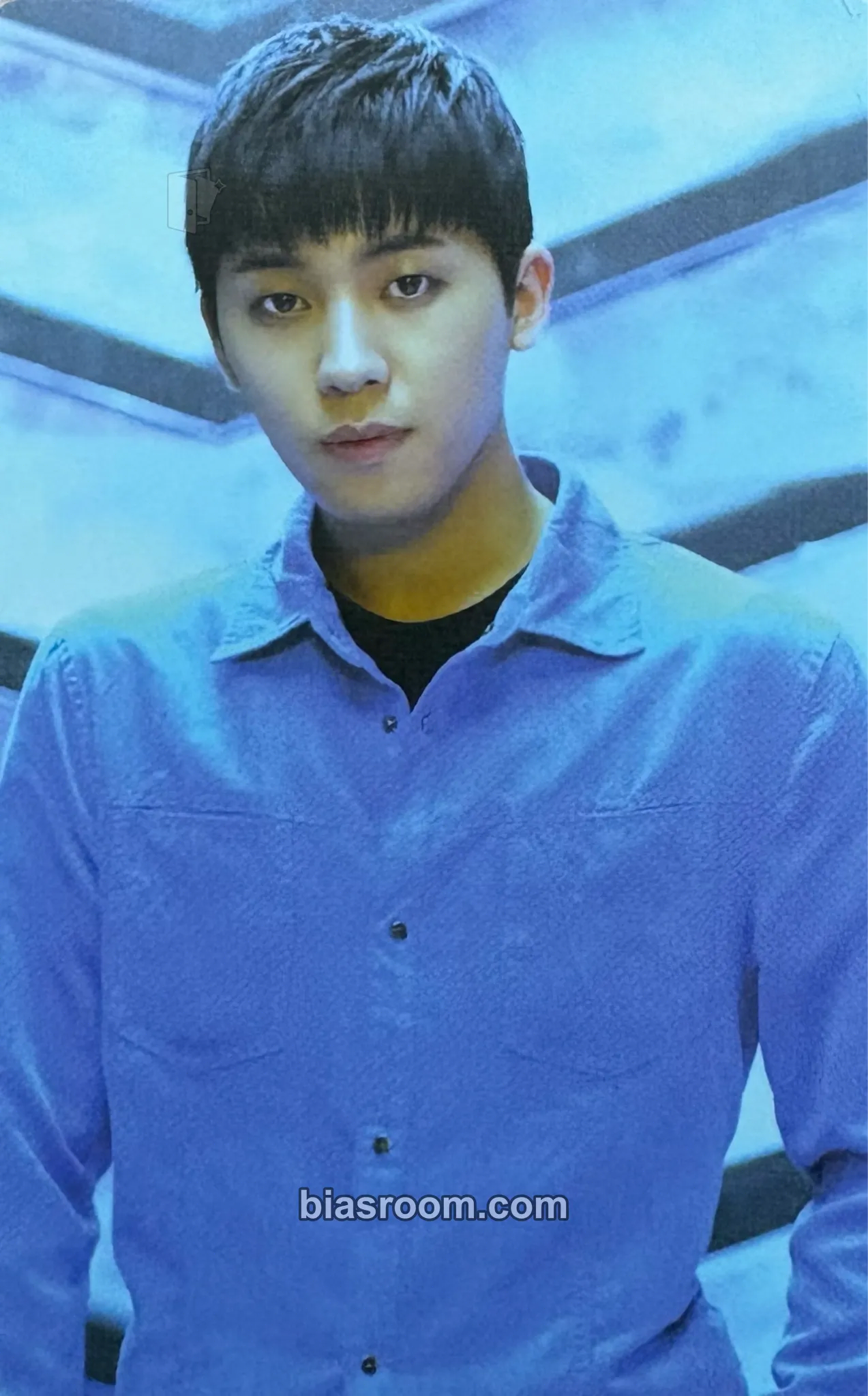 Changjo NATURAL BORN TEEN TOP Photocard - Teen Top - Teen Top K-pop photocard