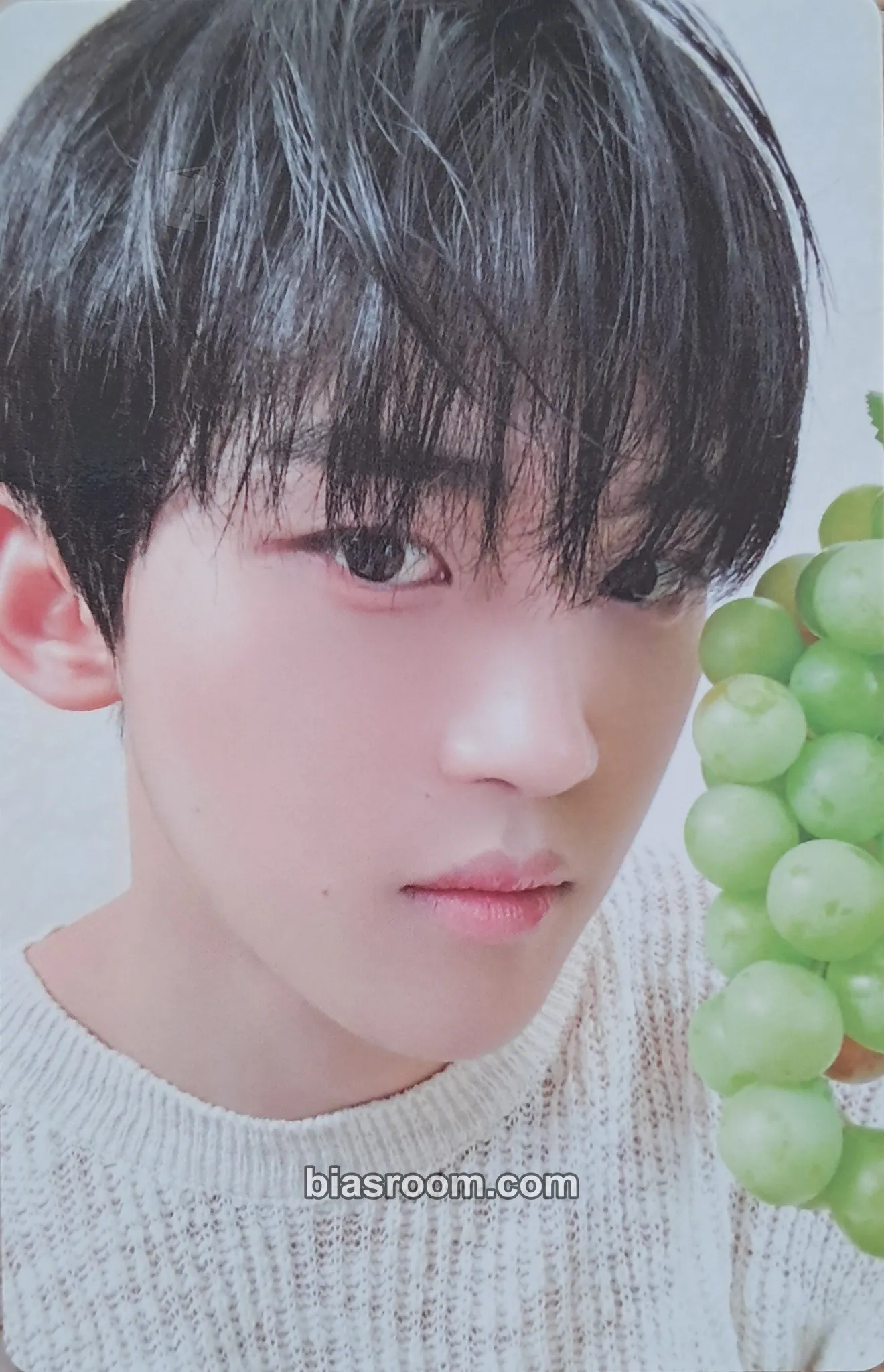 Dohyun Dear LUV8 membership kit Photocard - LUN8 - LUN8 K-pop photocard
