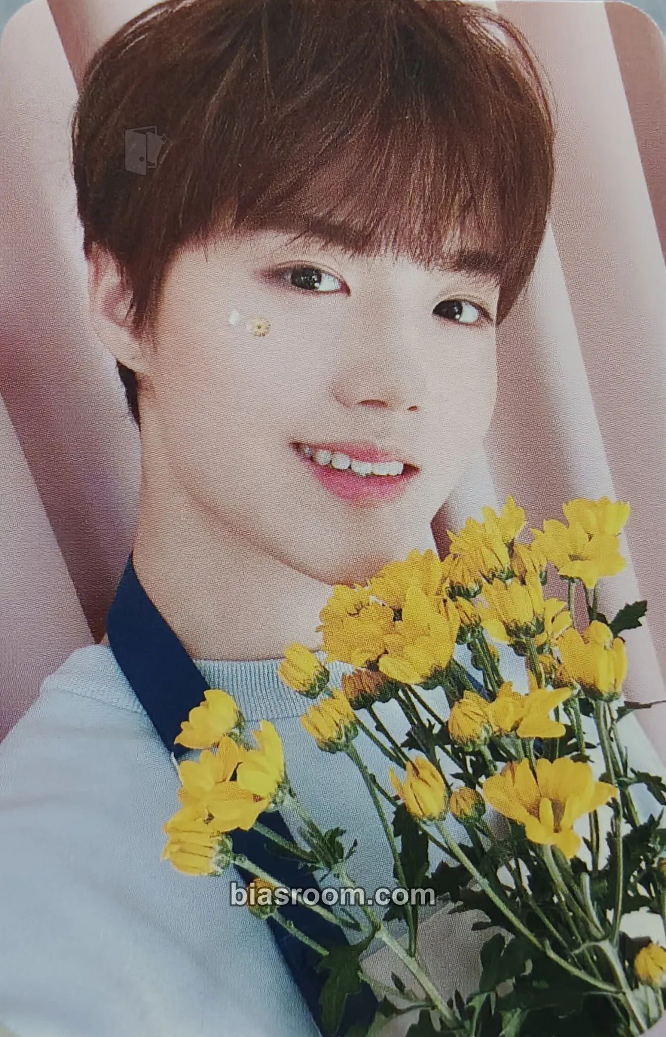 Doyoung Blooming Treasure Photocard - TREASURE - TREASURE K-pop photocard