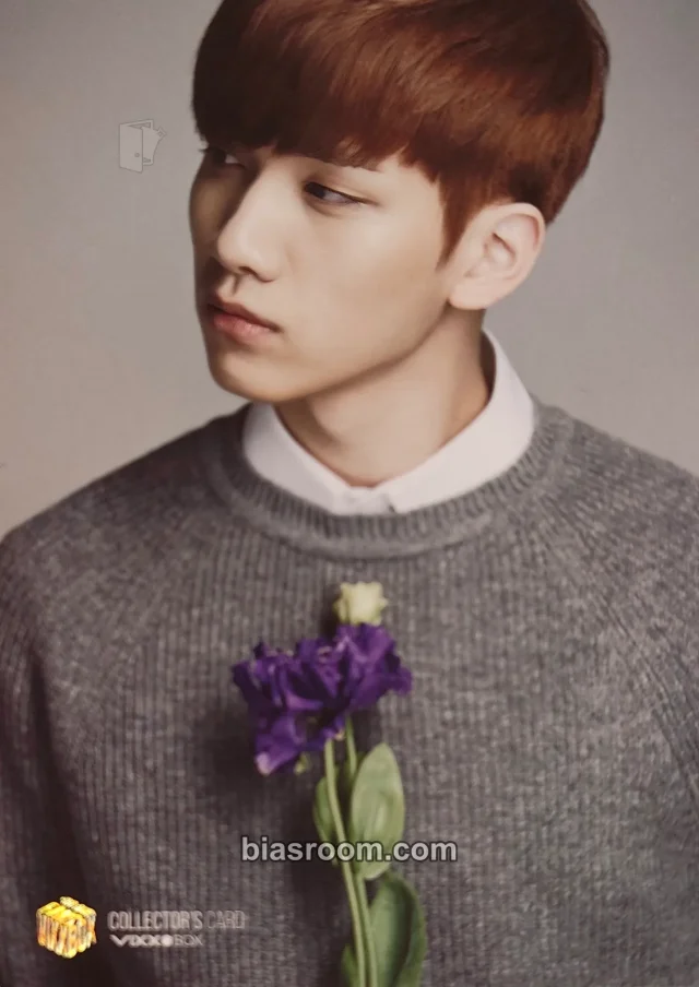 VIXX - Hyuk - VIXX Box: For Our Fans Other photocard set non-standard size