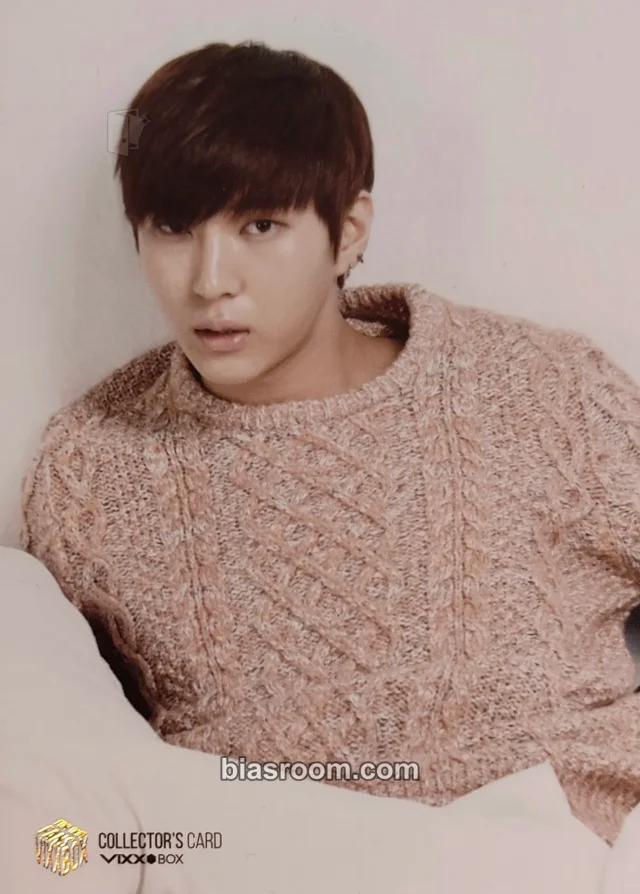 VIXX - Leo - VIXX Box: For Our Fans Other photocard set non-standard size