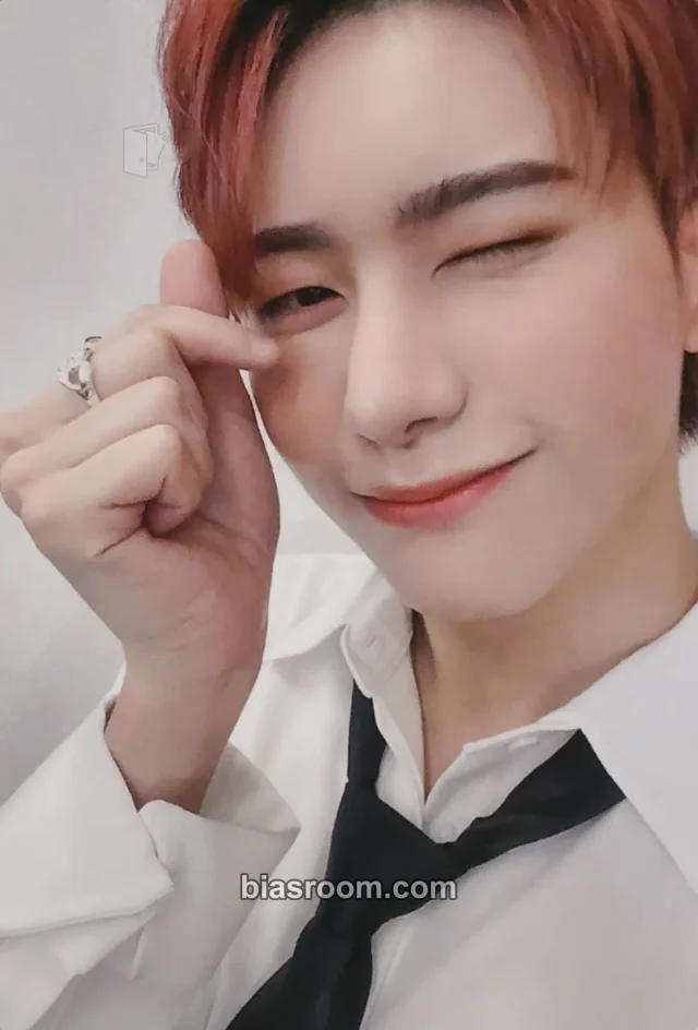 VICTON - Seungsik - ALICE JAPAN Anniversary (1st, 2nd) Other 2nd anniversary fanclub/membership jpfc (japan fanclub) non-standard size japan