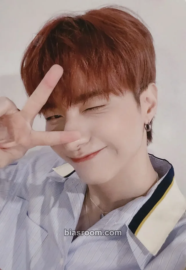 VICTON - Seungsik - ALICE JAPAN Anniversary (1st, 2nd) Other 2nd anniversary non-standard size japan jpfc (japan fanclub) fanclub/membership