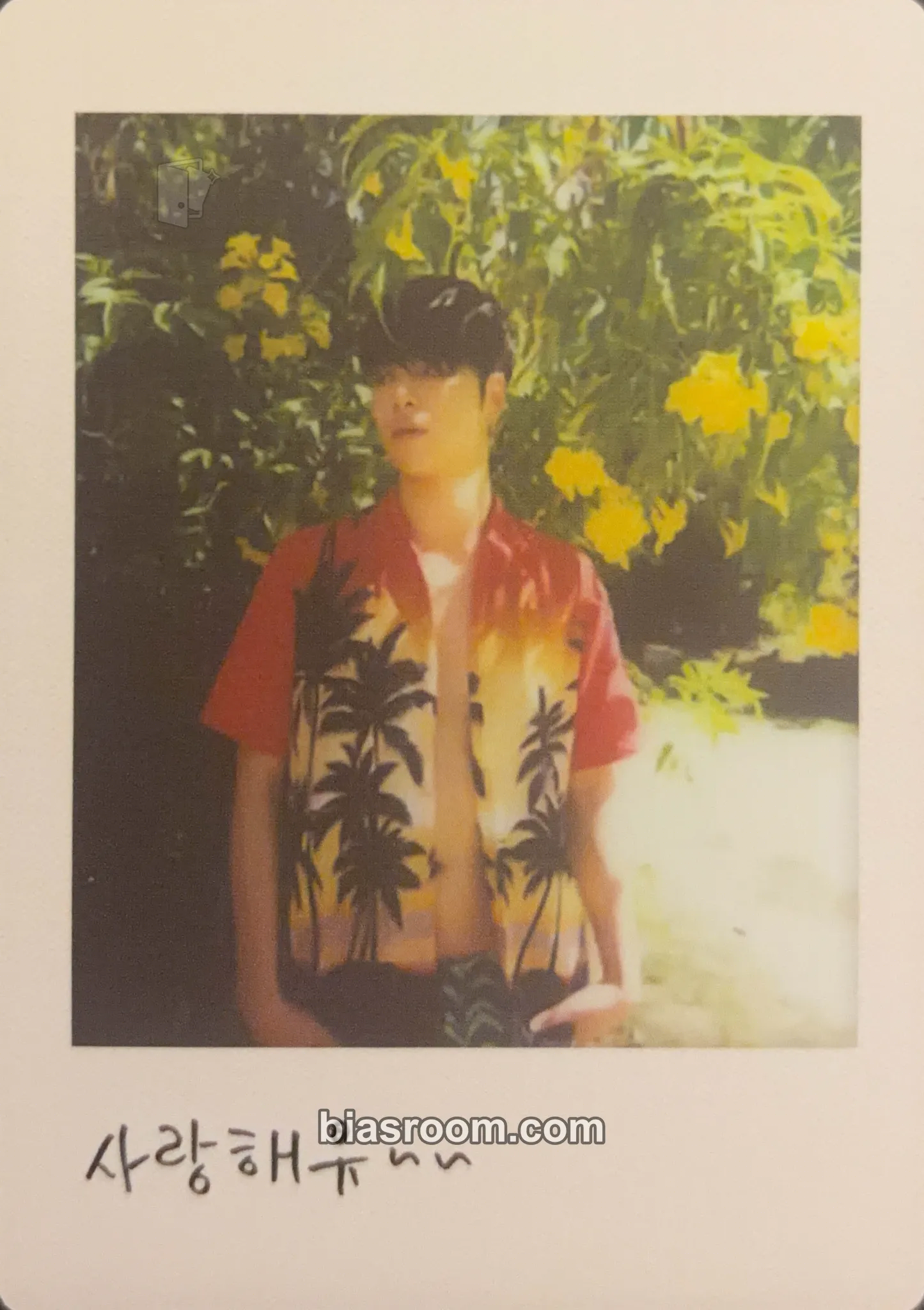 Kony's Summertime in Saipan Photocard - iKON | Bias Room