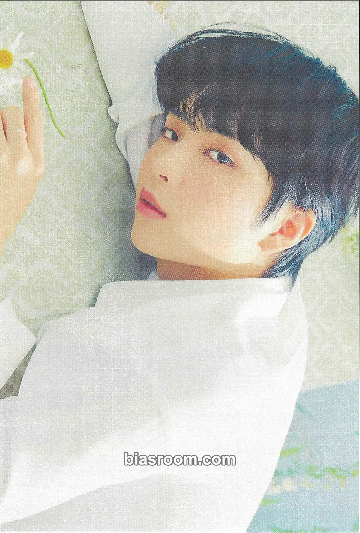 Sihun THE INTERSECTION: DISCOVERY Photocard - BDC - BDC K-pop photocard