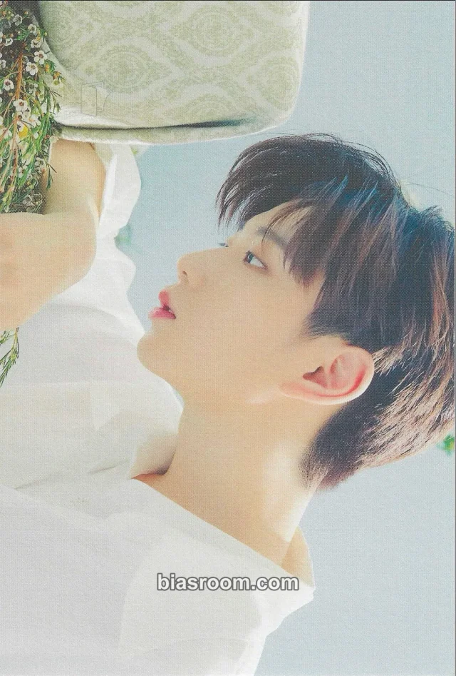 BDC - Junghwan - THE INTERSECTION: DISCOVERY Album album inclusion dreaming version horizontal postcard