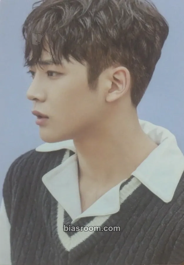 Rowoon Breaking Sensation Photocard - SF9 - SF9 K-pop photocard
