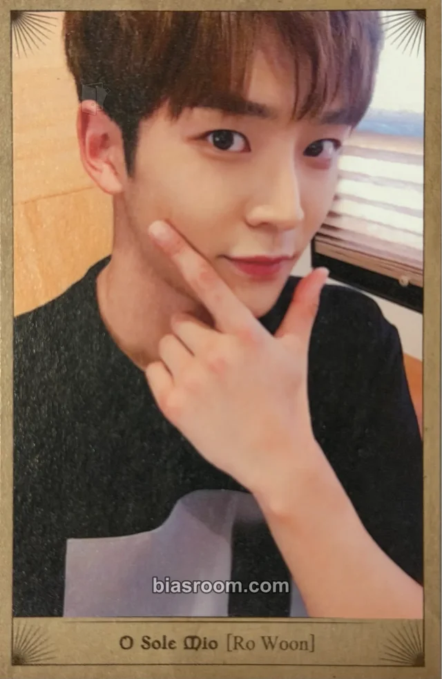 SF9 - Rowoon - Knights of the Sun Album album photocard gold version