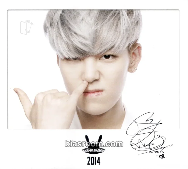 BANG&JUNG&YOO&MOON - Zelo - B.A.P: Live on Earth 2014 Tour Event polaroid tour merch
