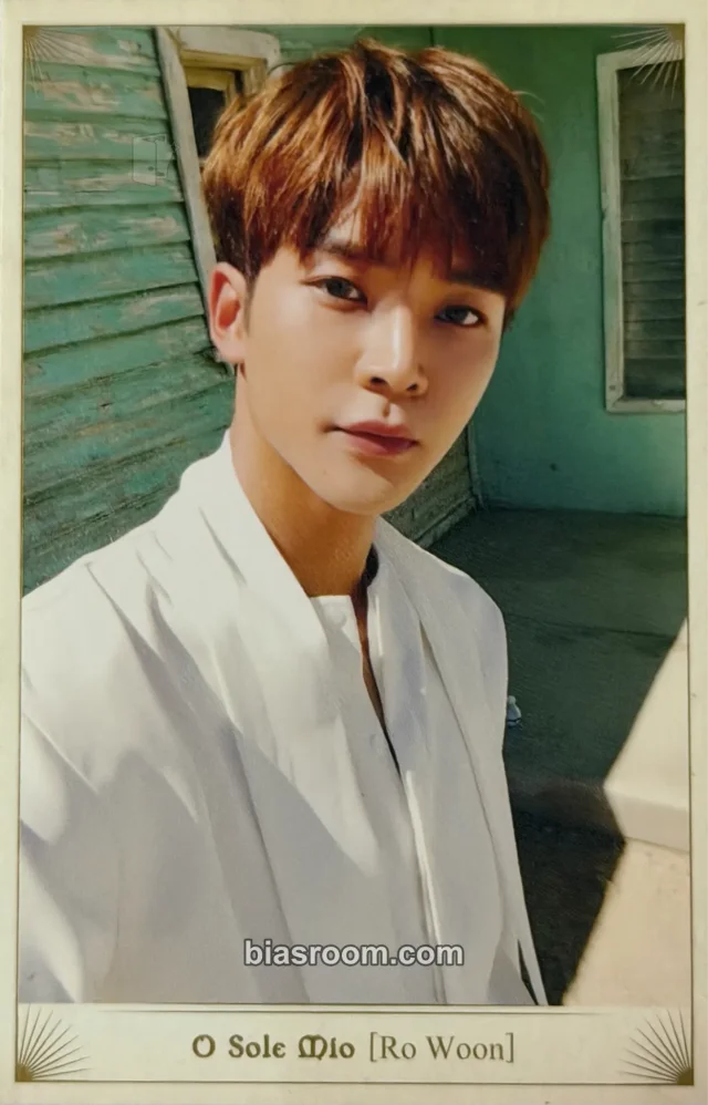 SF9 - Rowoon - Knights of the Sun Album album photocard silver version