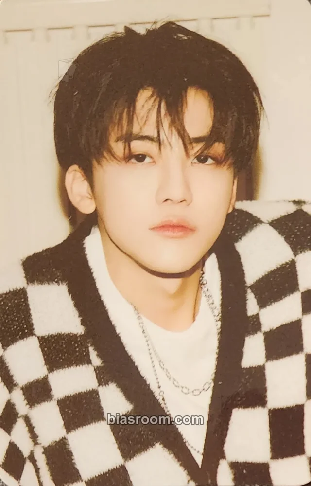 NCT DREAM - Jaemin - 맛(Hot Sauce) MD Other merch photocard photo deco set
