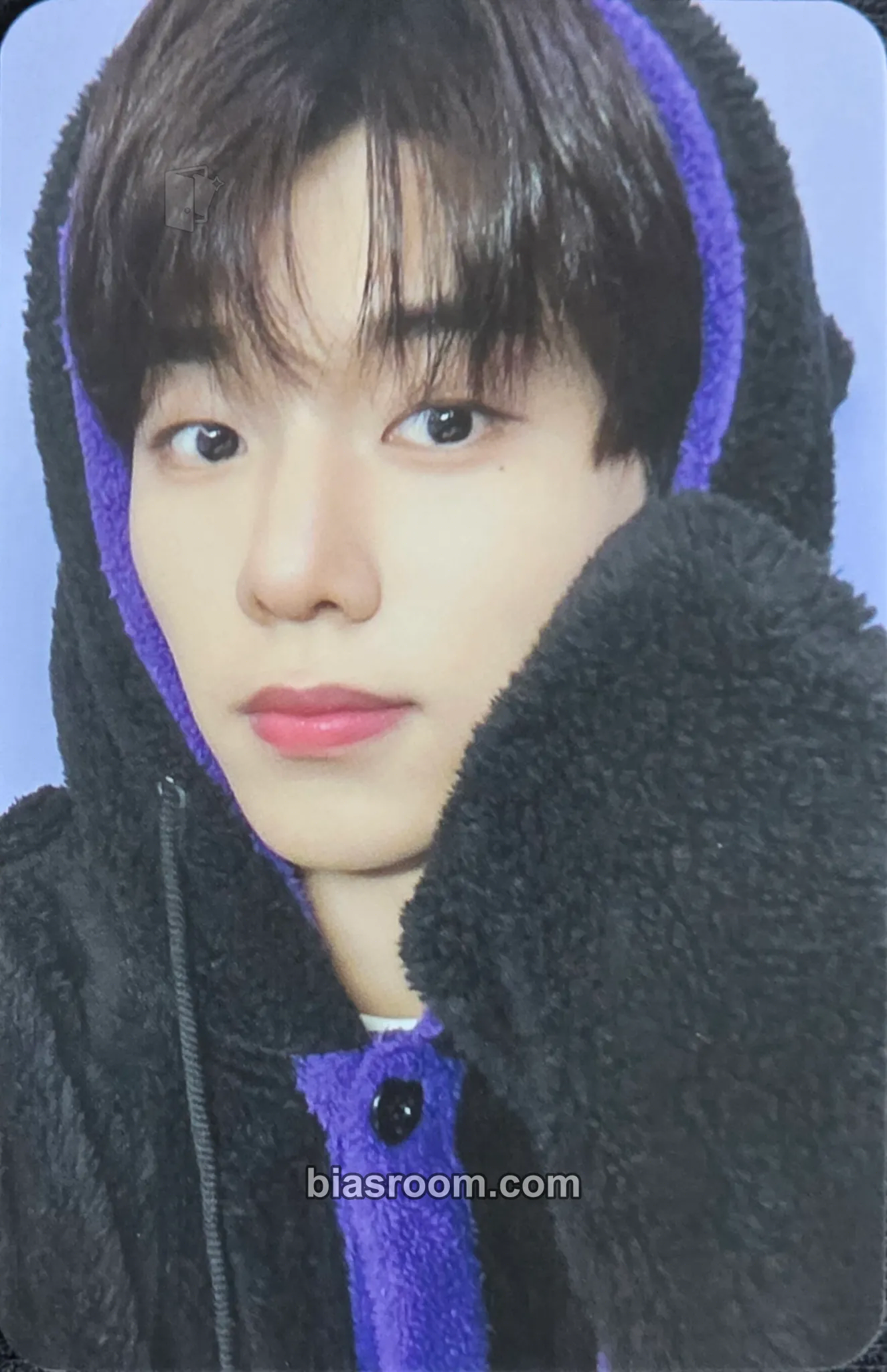 Lee Jeonghyeon LOVE ANECDOTE(S) Photocard - EVNNE - EVNNE K-pop photocard