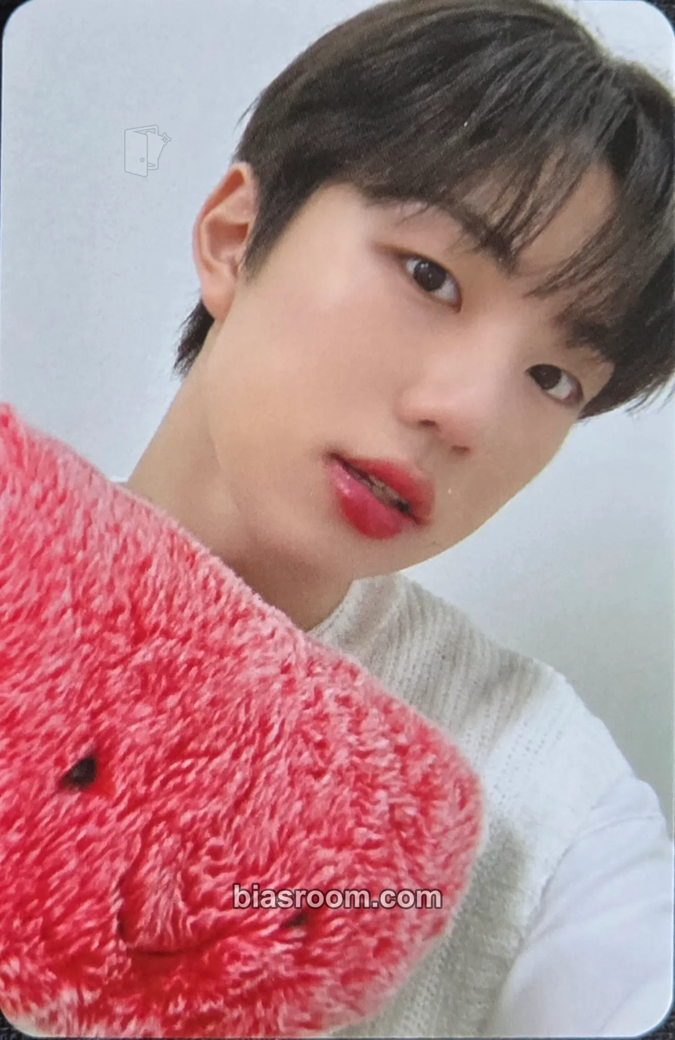 Park Jihoo RIDE or DIE Photocard - EVNNE - EVNNE K-pop photocard