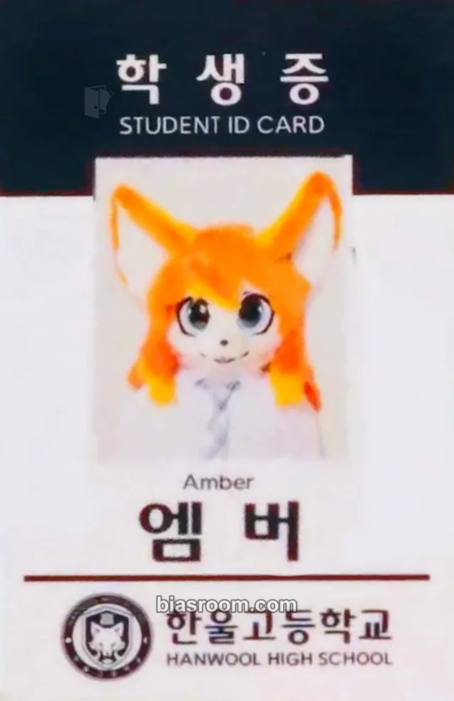 BASTTIE - Amber - First Step Album merch photocard id card
