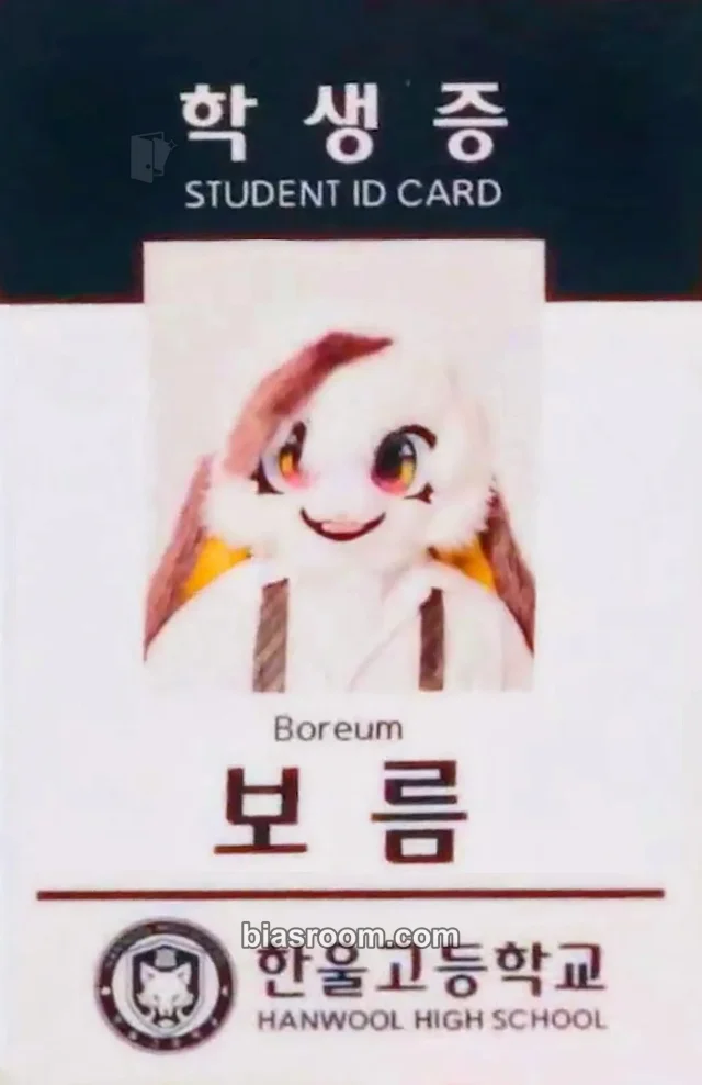 BASTTIE - Boreum - First Step Album merch photocard id card