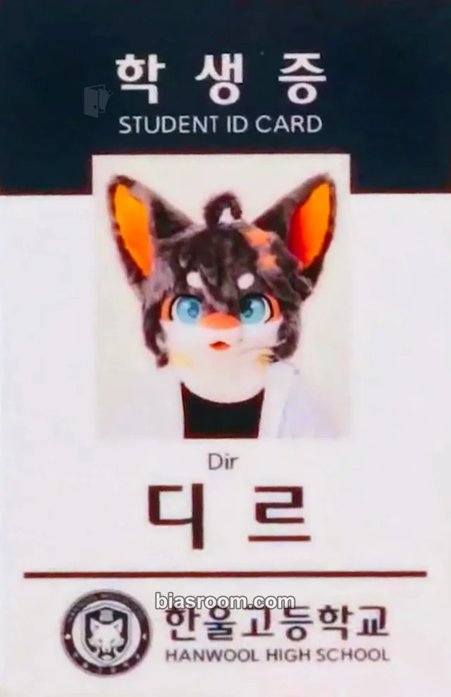 BASTTIE - Dir - First Step Album merch photocard id card