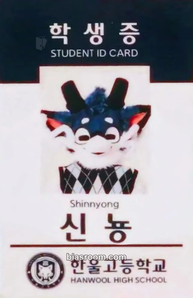 BASTTIE - Shinnyong - First Step Album merch photocard id card