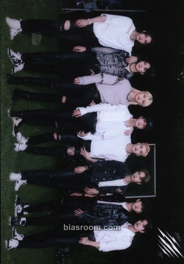 Stray Kids - Scars Album merch inclusion trading card