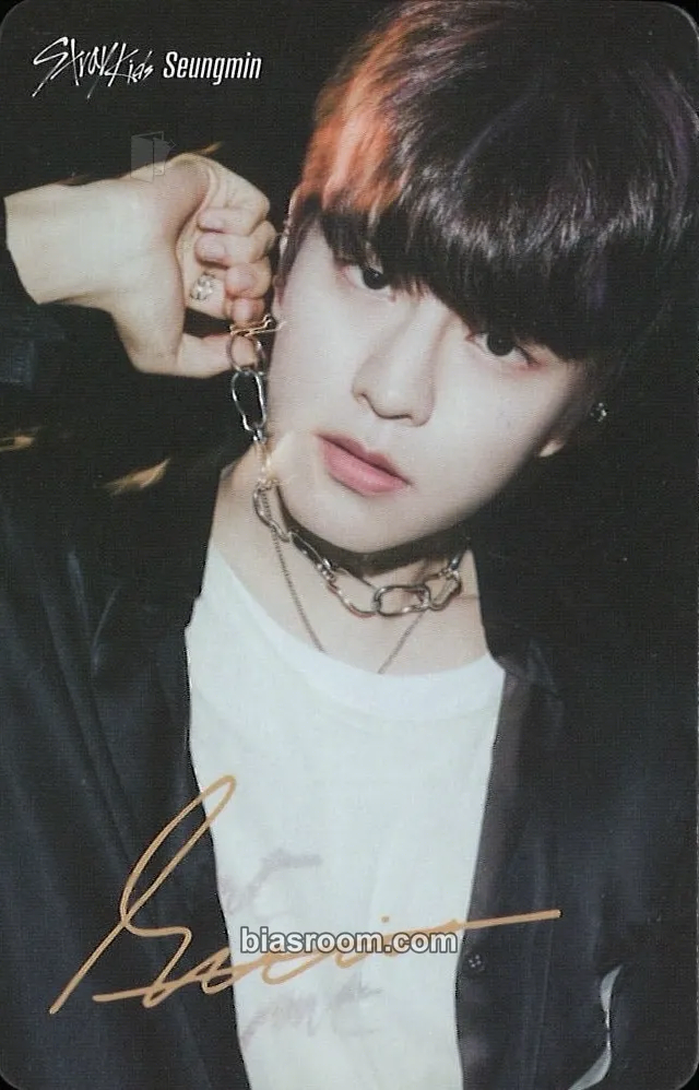 Seungmin FuRyu x Stray Kids Photocard - Stray Kids - Stray Kids K-pop photocard