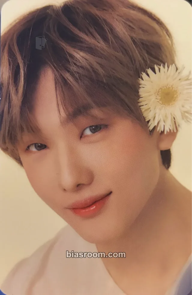 NCT DREAM - Jisung - CANDYLAB X NCT DREAM Other brand collaboration candylab