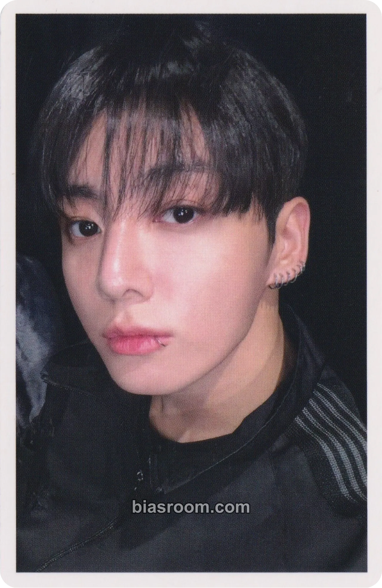 Jungkook ARIRANG Photocard - BTS | Bias Room