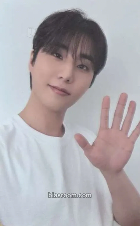 Young K LOiViE × Young K Photocard - DAY6 - DAY6 K-pop photocard