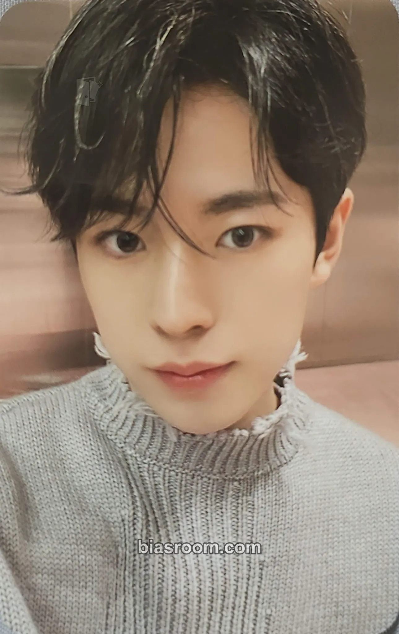 Yushi Steady Photocard - NCT WISH - NCT WISH K-pop photocard