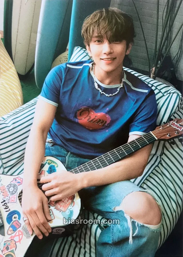 SEVENTEEN - Joshua - Spill the Feels Album KiT/kihno version postcard postcard set album inclusion feel you version