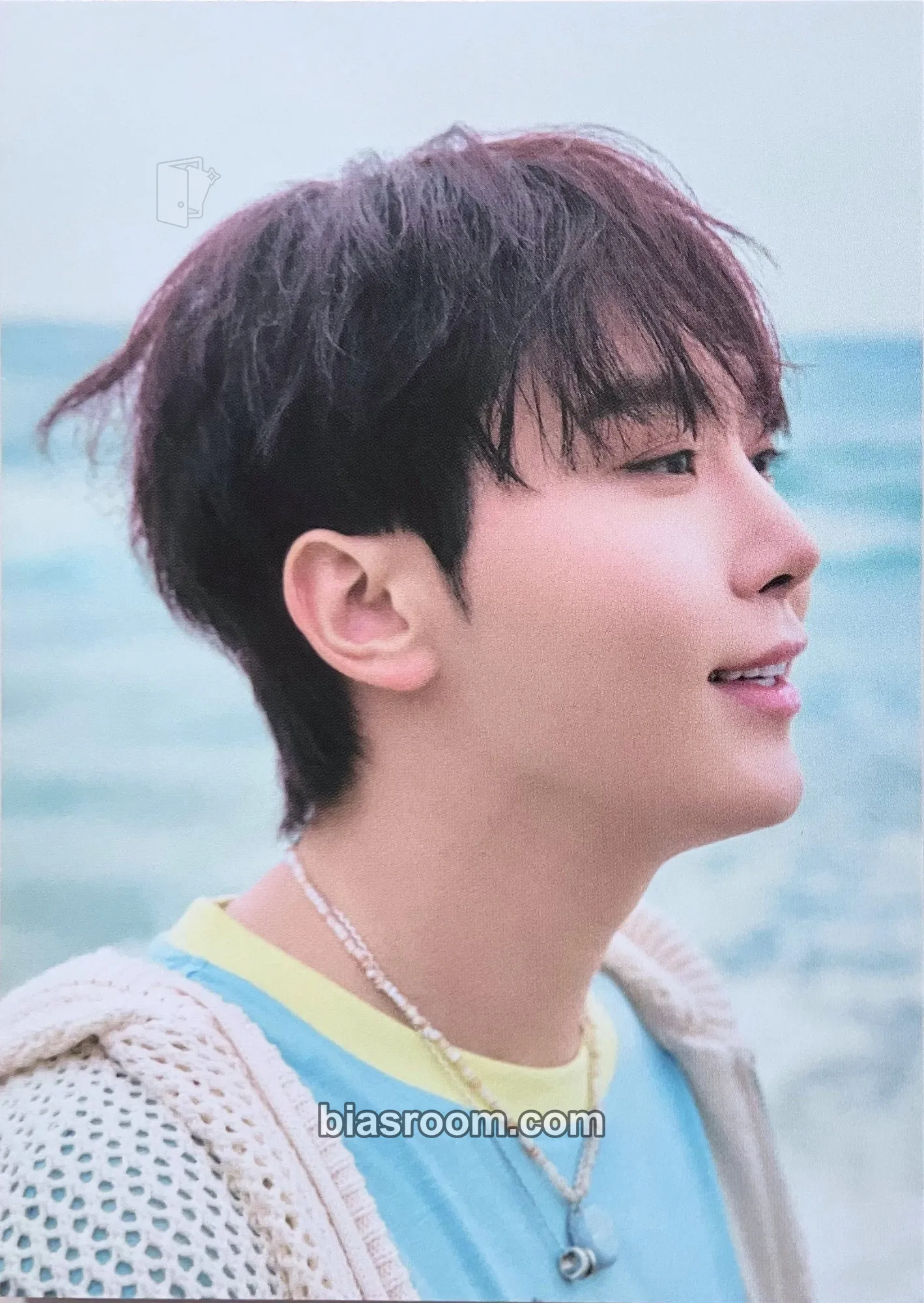 Seungkwan Spill the Feels Photocard - SEVENTEEN - SEVENTEEN K-pop photocard