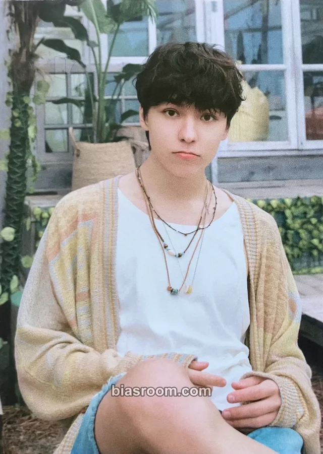 SEVENTEEN - Vernon - Spill the Feels Album KiT/kihno version postcard set postcard album inclusion feel you version
