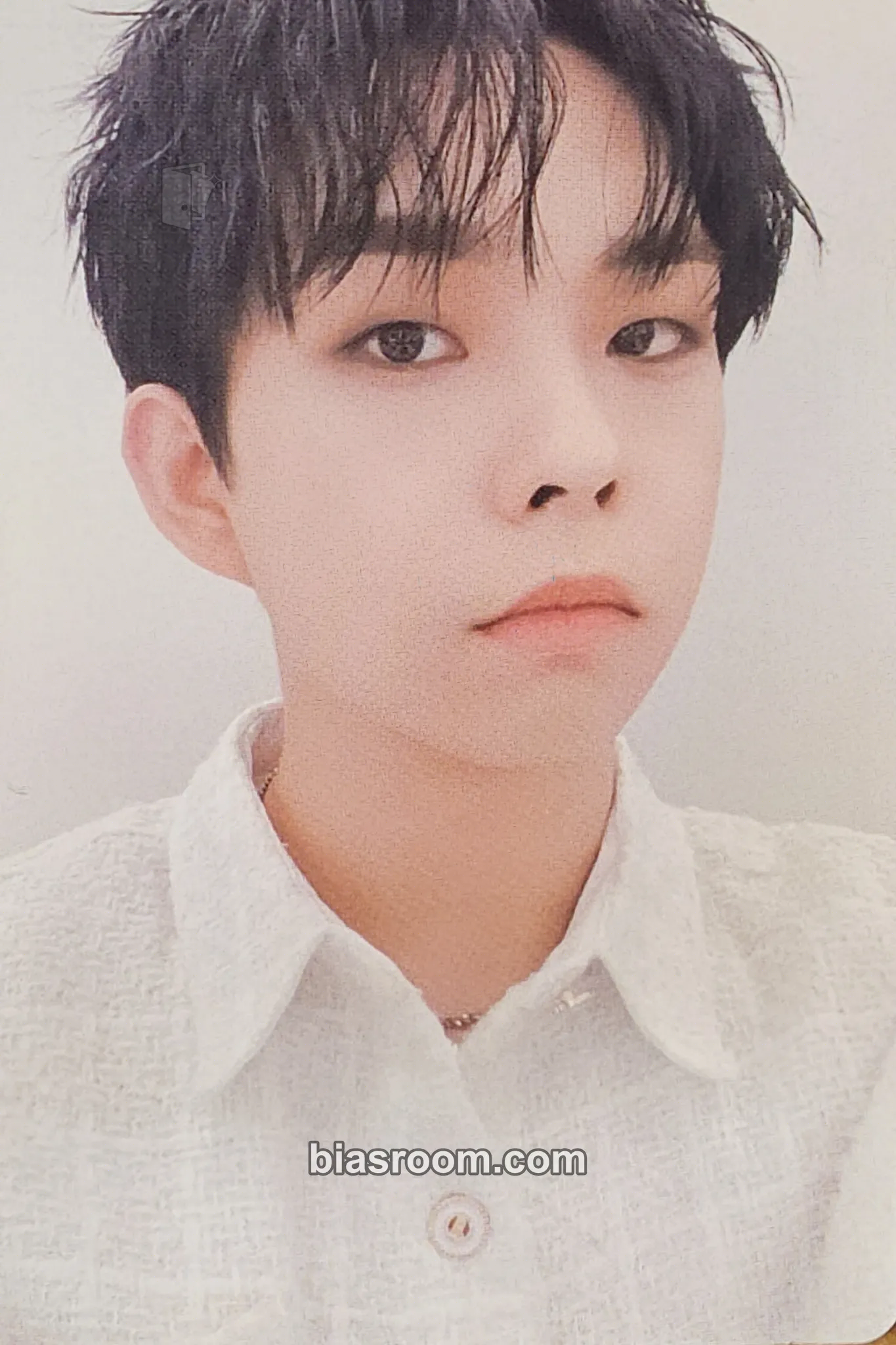 Sangyeop Blue Photocard - LUCY - LUCY K-pop photocard