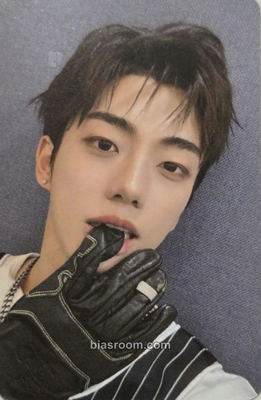 Rowan 1. Got Hooked: An Addictive Symphony Photocard - MODYSSEY - MODYSSEY K-pop photocard