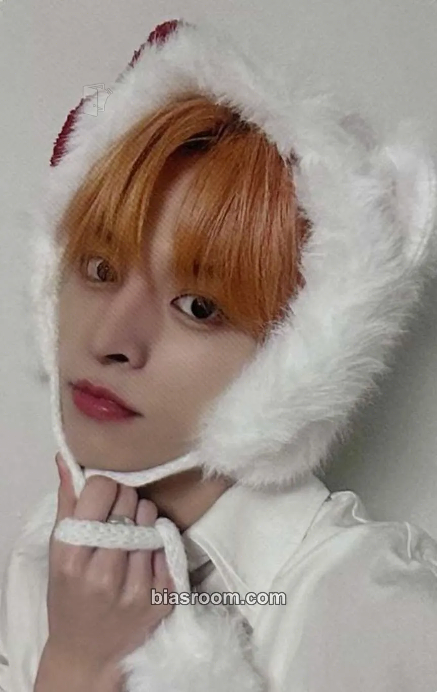 Laurence Itty Bitty Photocard - n.SSign - n.SSign K-pop photocard