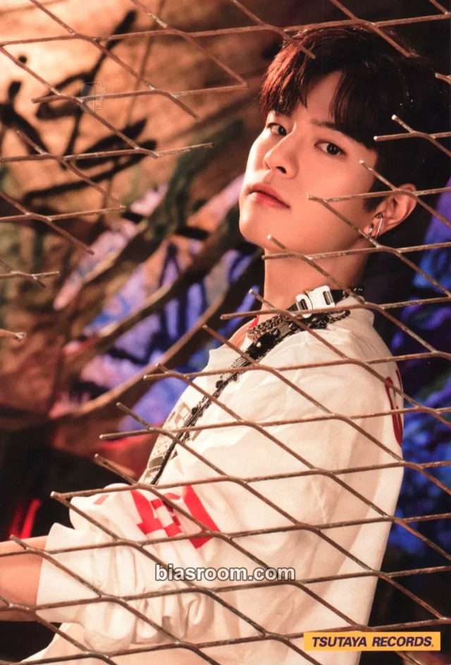 Stray Kids - Seungmin - Scars Album pob (pre-order benefit) postcard tsutaya supplemental