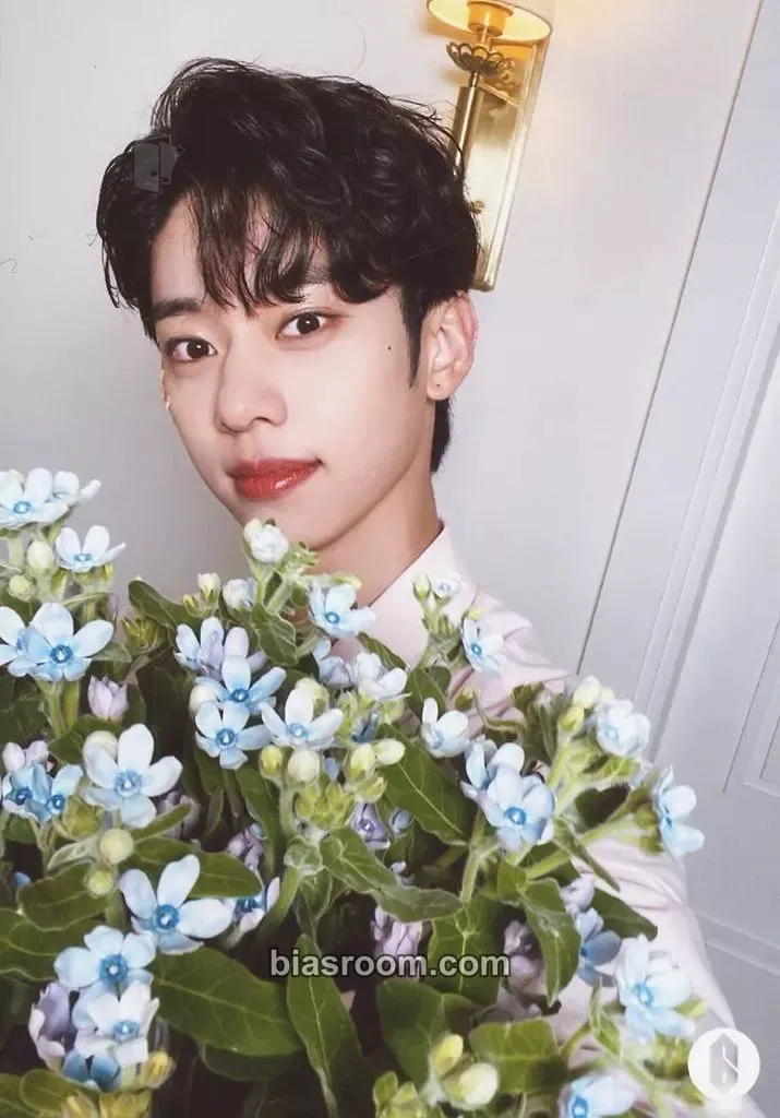 Donghyun Absolute 6IX Photocard - AB6IX - AB6IX K-pop photocard