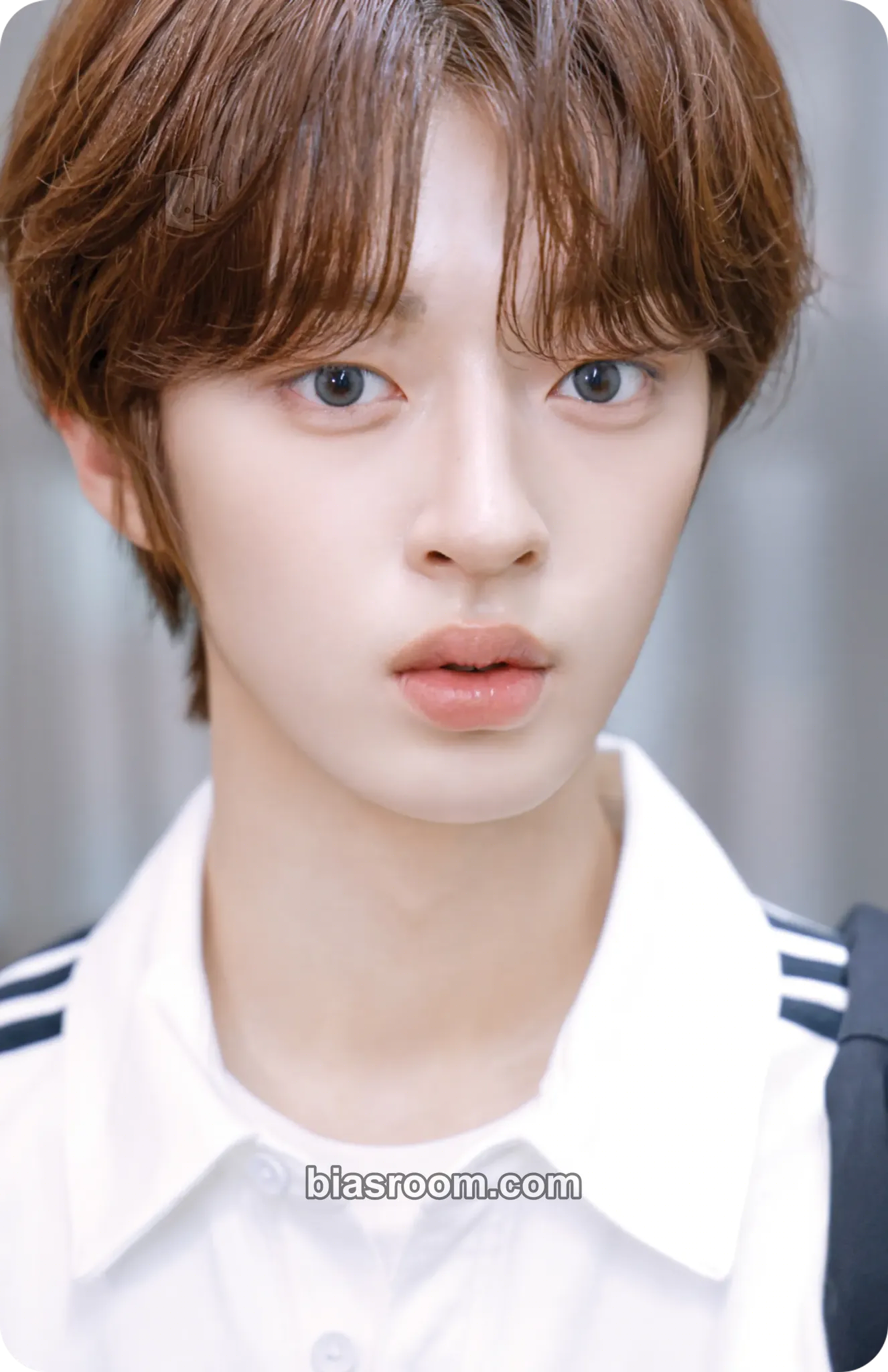 Cho EunChan Summer26 Physical Objekts Photocard - idntt - idntt K-pop photocard