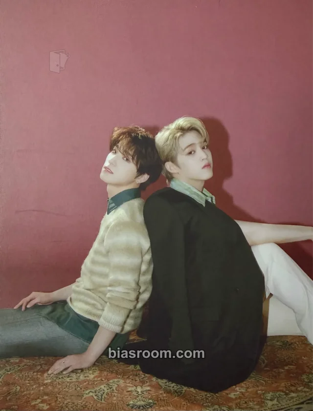SEVENTEEN - S.Coups & Dino - Semicolon Album album inclusion mini card
