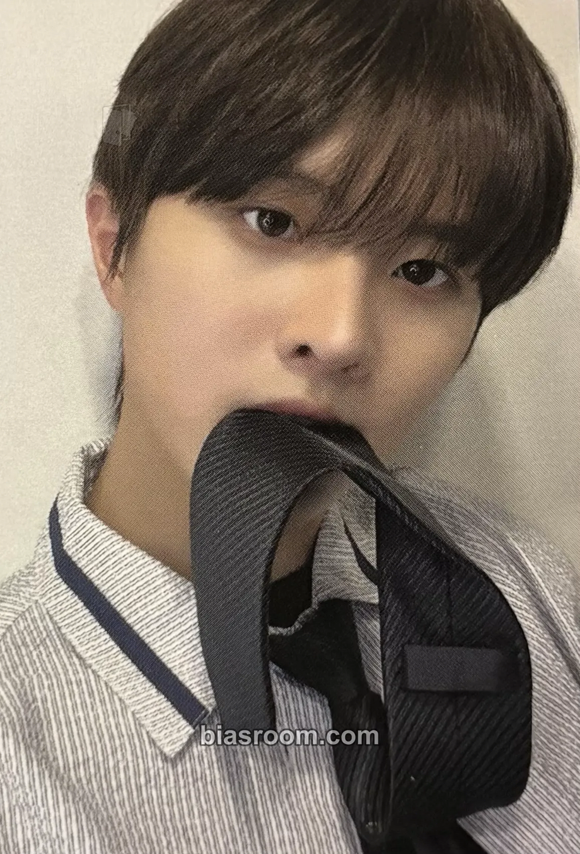Ivan History of Kingdom : PartⅦ. Jahan Photocard - The KingDom - The KingDom K-pop photocard