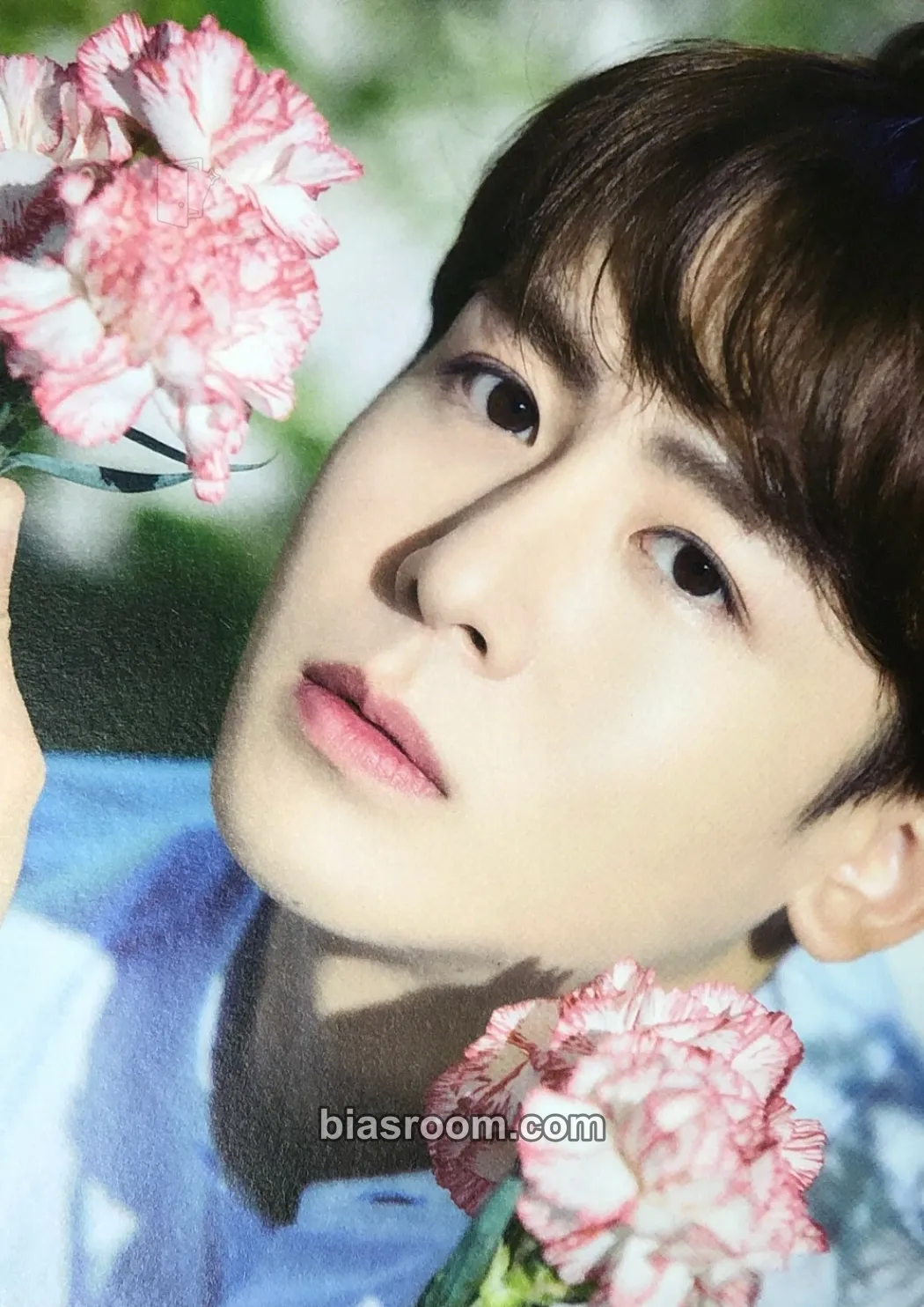 Nichkhun HOTTEST 8th Generation fanclub kit Photocard - 2PM - 2PM K-pop photocard